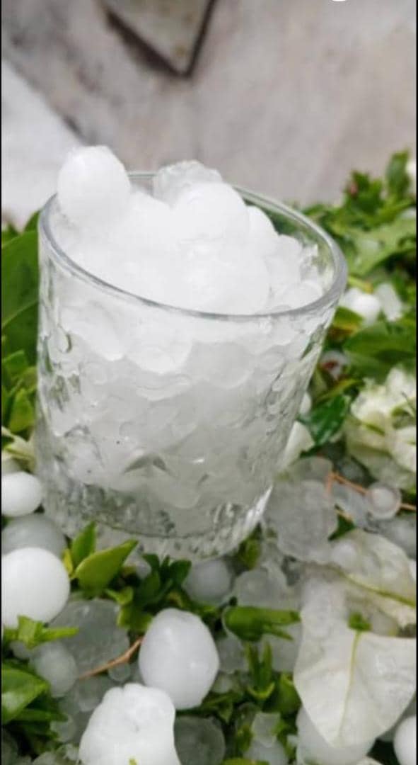 مهما كانت أحلامك كبيرة فهي ليست اكبر من قدرة الله على تحقيقها  فقط ليكن يقينك بالله أعمق من خوفك وتوكلك علية اكبر من جهدك ارتكن إلى الله فانة الركن الذي لا يحيد ولايميل ولايمل ولايخذلك أرواحنا وأيامنا وارزاقنا وحياتنا كلهامن الله والى الله فالحمد لله على كل حال
مساءالخيروالسعادة