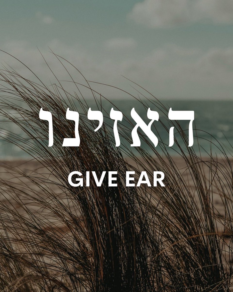 ChosenPeopleUSA's tweet photo. Check out our thoughts on this week's Torah portion!
#ChosenPeople #Torah #devotional #Messianic #Parashah #Parashat #Bible #Genesis #HaAzinu https://t.co/DchtzJSznt
