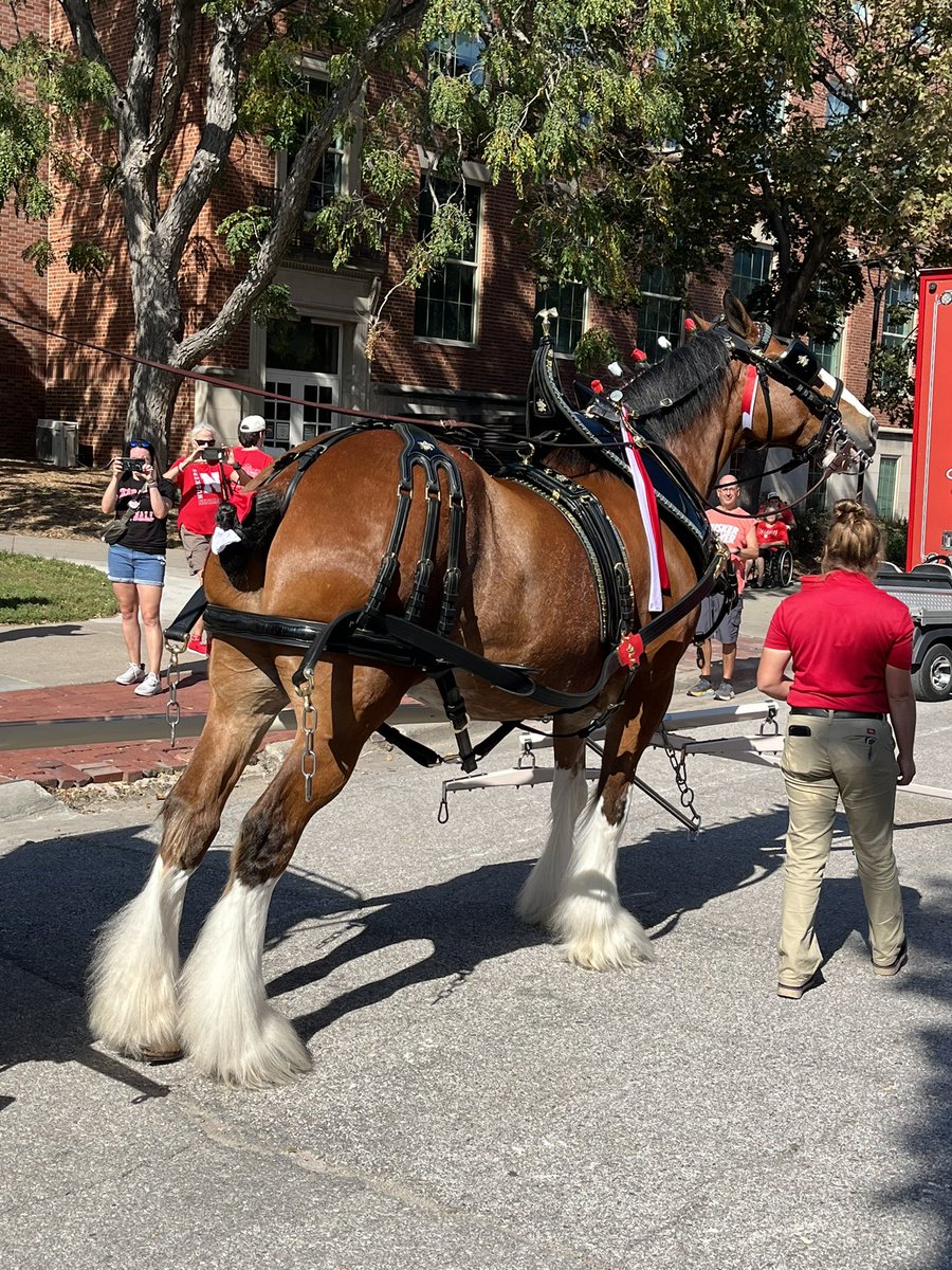 Mark Flaxbeard tweet media