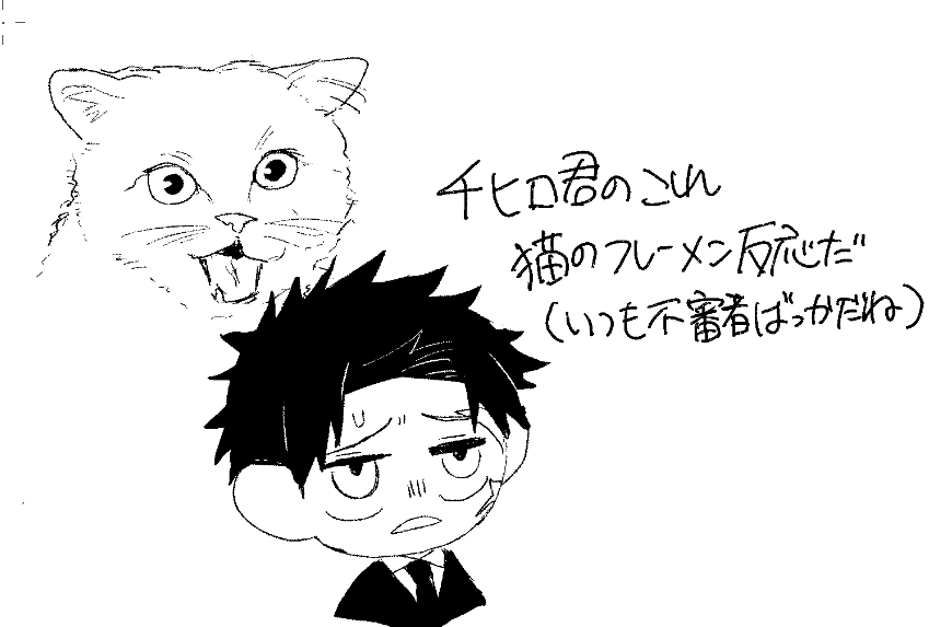 bc__wasabi's tweet photo. やっぱ、猫ちゃんだよ https://t.co/34gOxElO3r