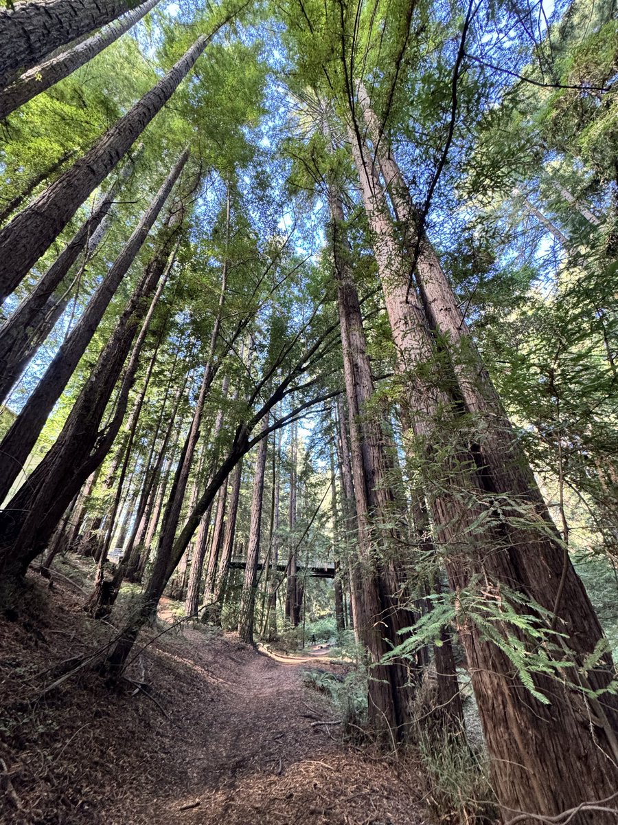 alex holt tweet media