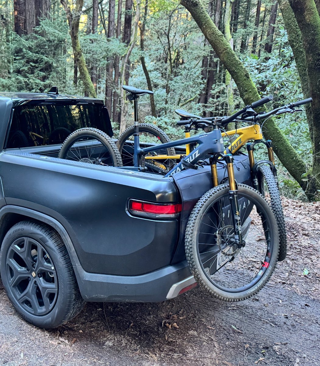 alex holt tweet media