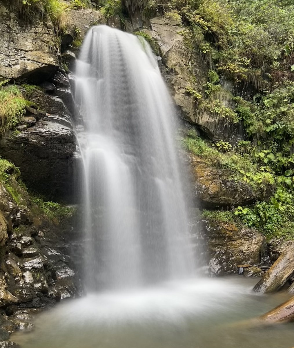 Alexsander tweet media