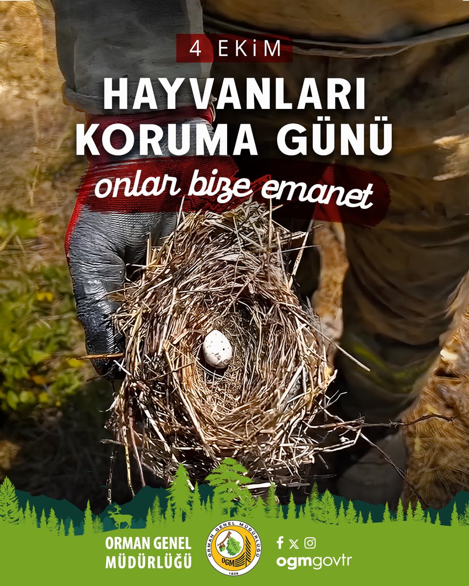 📅 4 Ekim - #HayvanlarıKorumaGünü

🐾 Canlı dostlarımızın yaşam alanlarını korumak; vicdanımıza, doğaya ve  geleceğimize sahip çıkmaktır.

🌳 Orman Genel Müdürlüğü olarak; yaban hayatını korumak, doğal yaşam alanlarını geliştirmek ve tüm canlıların huzurla yaşadığı bir ekosistem