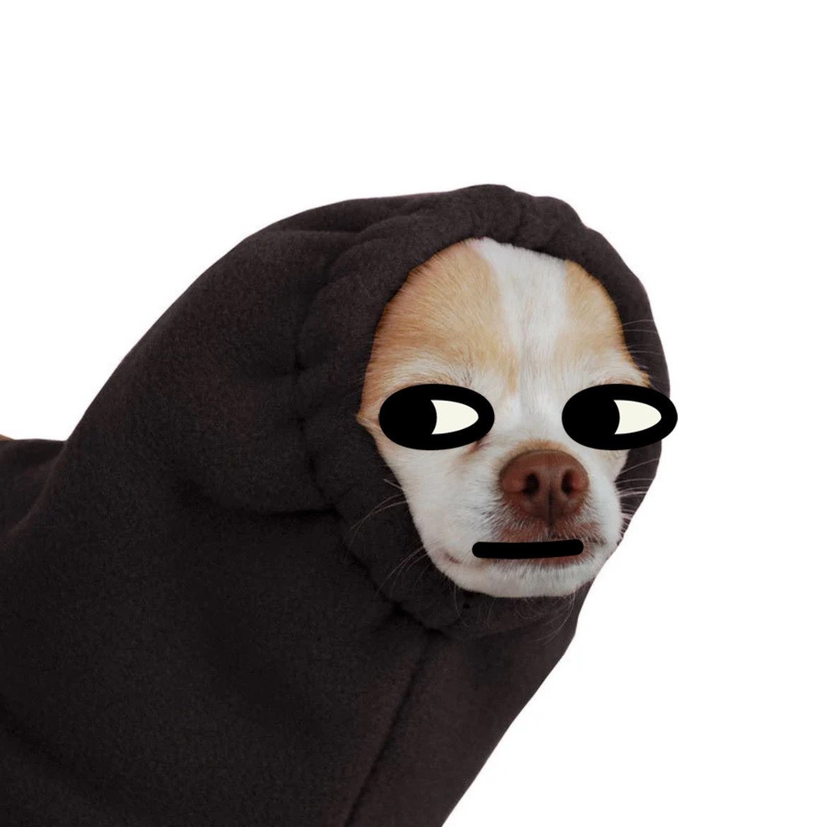 We chilling on this Saturday! woof 🐶