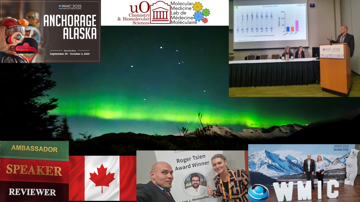 Dominic Graf tweet media