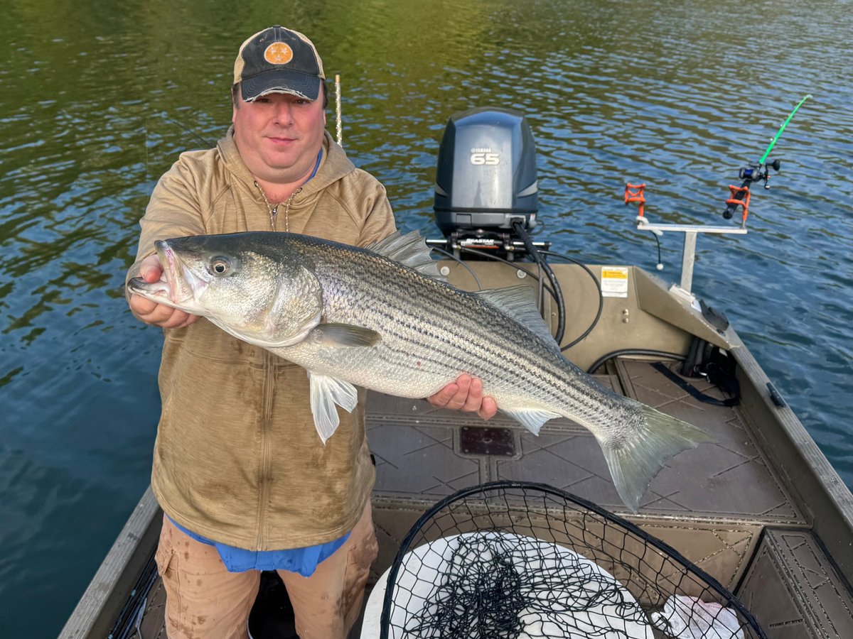 Capt_Billy_TN's tweet image. I got the privilege to do some exploring in a boat like my old jet boat!  We managed to find the stripe bass and I got to test out my new striper rig and gear!  #stripedbass #striper #goodtimes #jetboat #okumafishingusa #okumacatslayer @OkumaFishingUSA