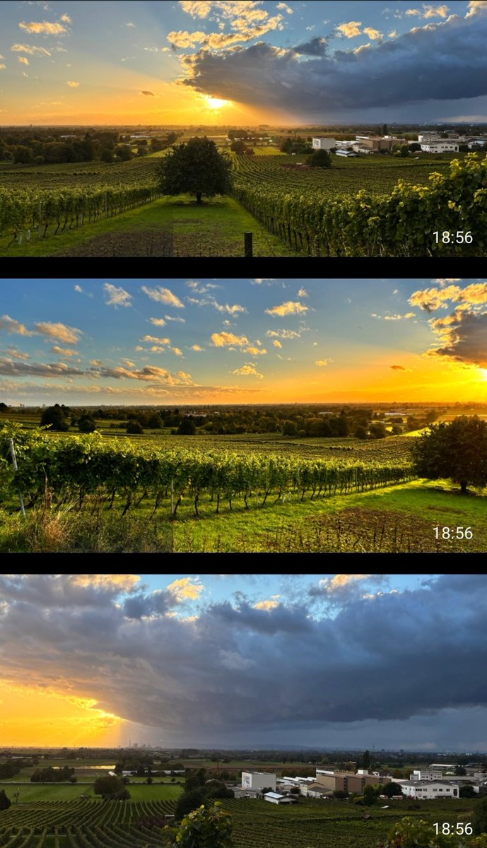 El verde,  el naranja y el azul.  El sol se pone por la ribera del Rin dejando estos colores tan intensos.  En Alemania.