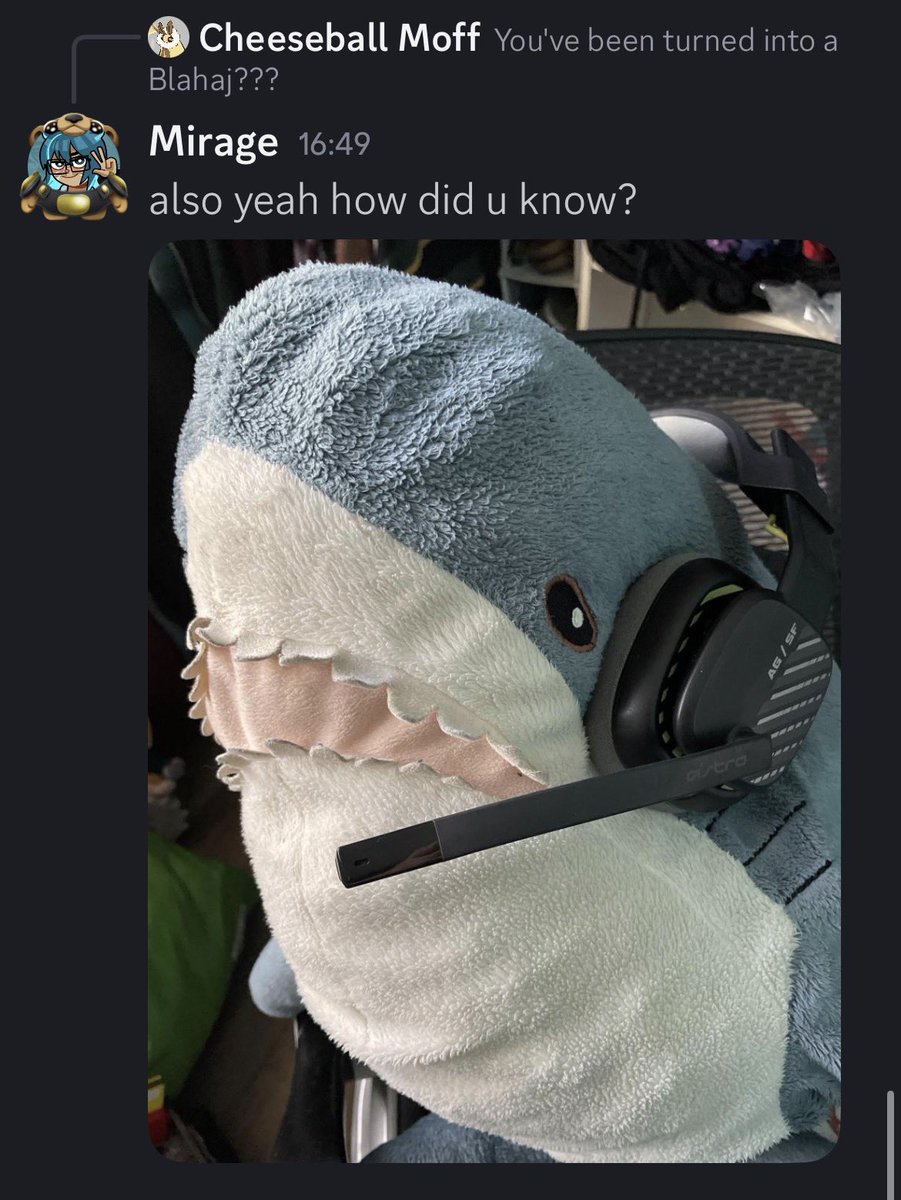Mako Mirage 🦈🔱 tweet media