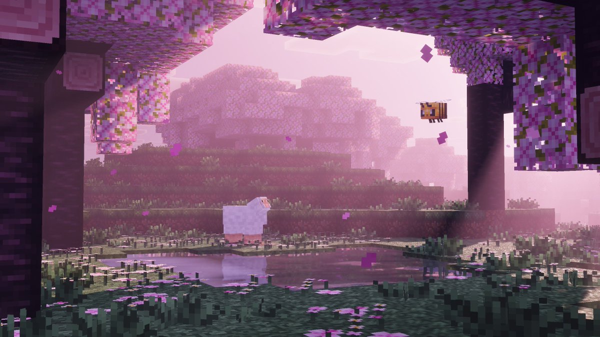 Starfish Studios tweet media