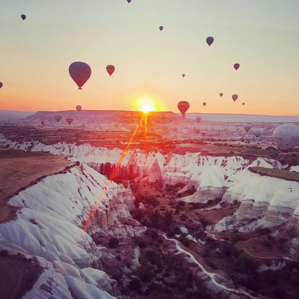 GodessinP's tweet photo. Fly with me!! 🪽🫶
#dreamgirl #Enjoylife #DESERVE https://t.co/y7p27MTMIk