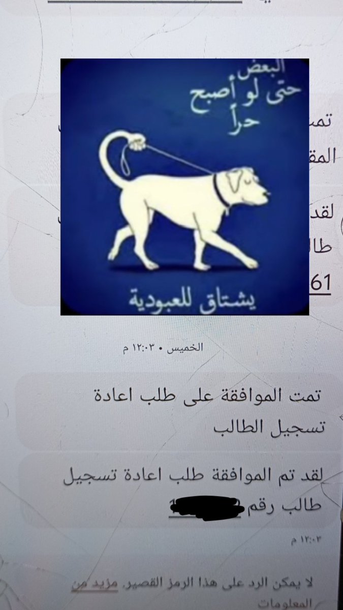 إيلورا | 𝐄𝐥𝐨𝐫𝐚 tweet media