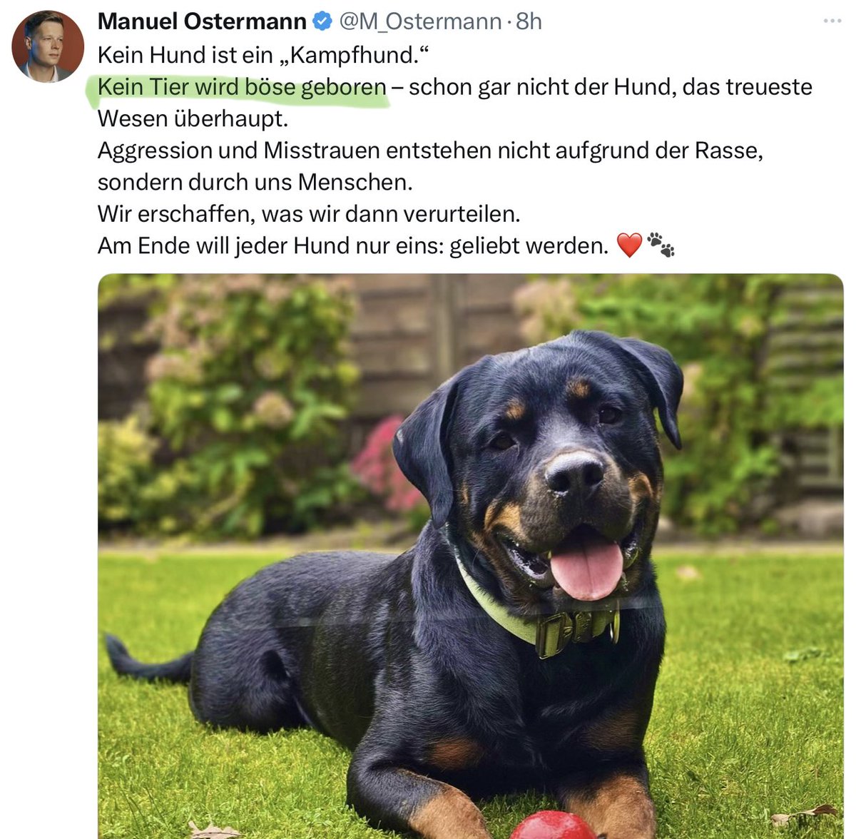 Über Hunde sagt <a href="/M_Ostermann/">Manuel Ostermann</a> , kein Tier würde böse geboren. 

Komisch, bei Menschen hören ich ihn immer sagen, dass der Geburtsort böse oder gute Menschen macht.