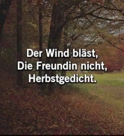 gerd klingen tweet media