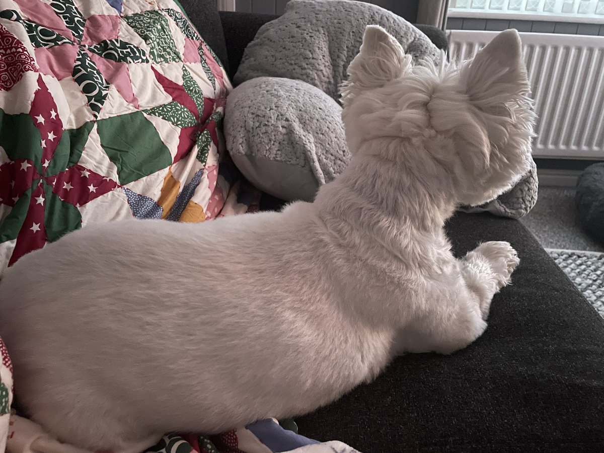 Charlie Hudson tweet media