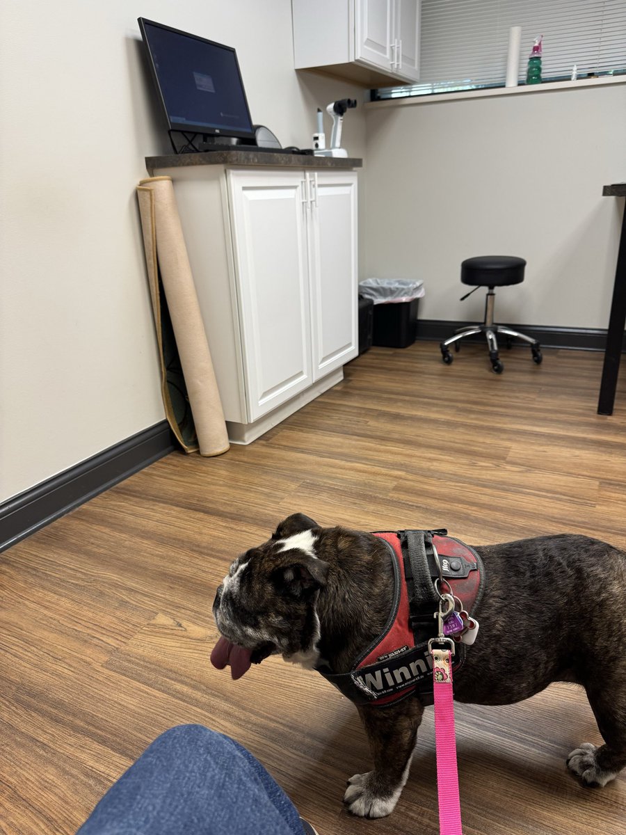 At the eye doctor! Had to get on the scale! Fat word was not used but implied! Mad bulldog! Dad brought me here and he is in trouble