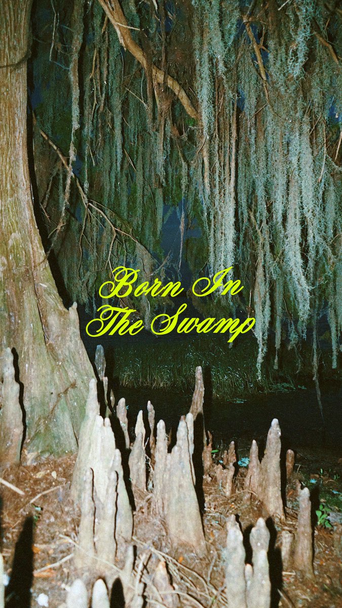 Florida Gators tweet media