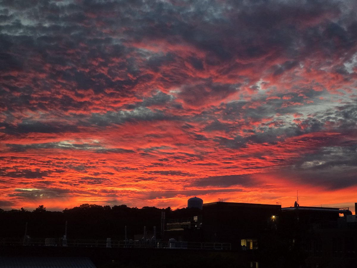 Ali❄️ tweet media