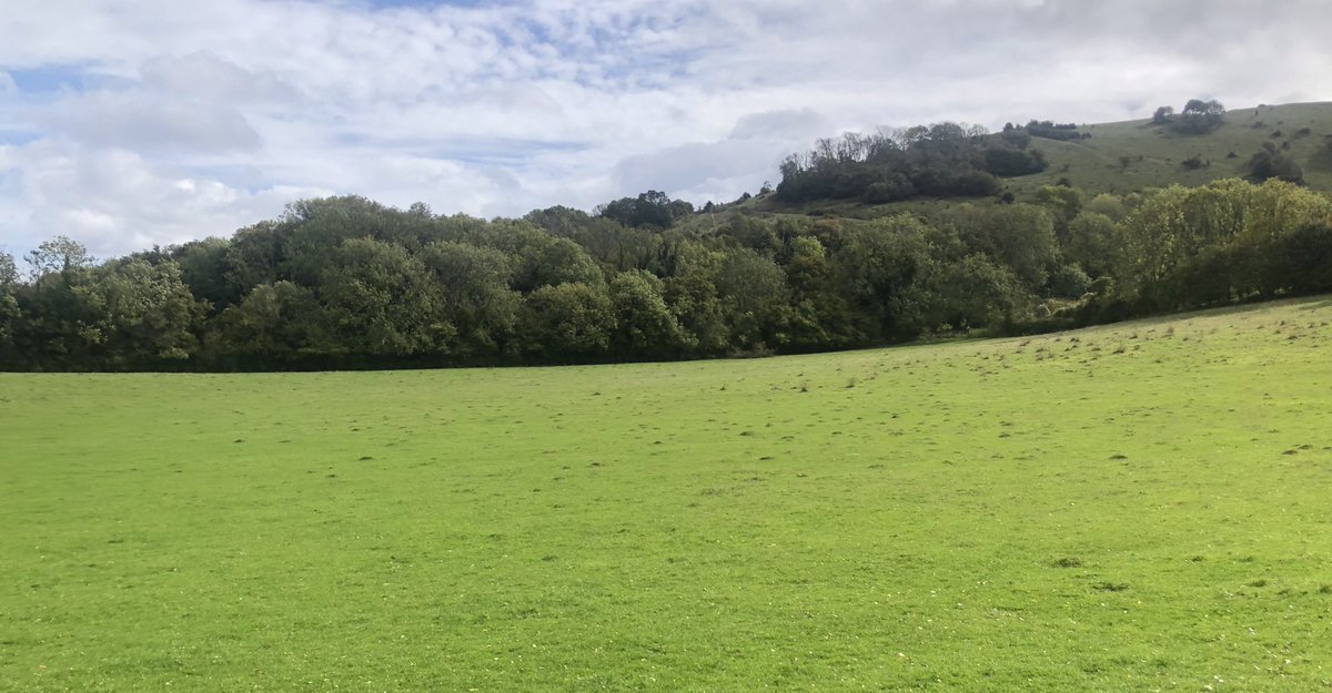 The ascent from Storrington up on to the South Downs