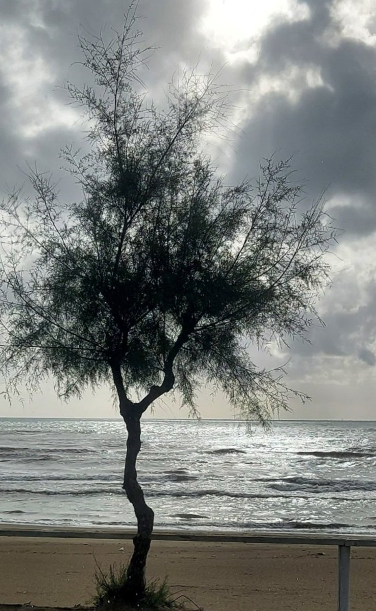 Maria Lea tweet media