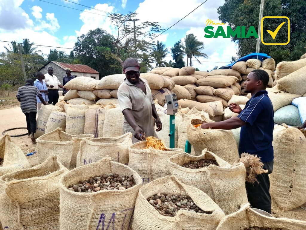 mamanafanikisha's tweet photo. Oktoba29 Tunatiki Samia amefanikisha kuongezeka kwa bei ya korosho kutoka shilingi 2,707 kwa bei ya juu kwa kilo moja hadi kufikia shilingi 4,195 kwa kilo moja kwa bei ya juu mwaka 2024. https://t.co/azA6XZwmlk