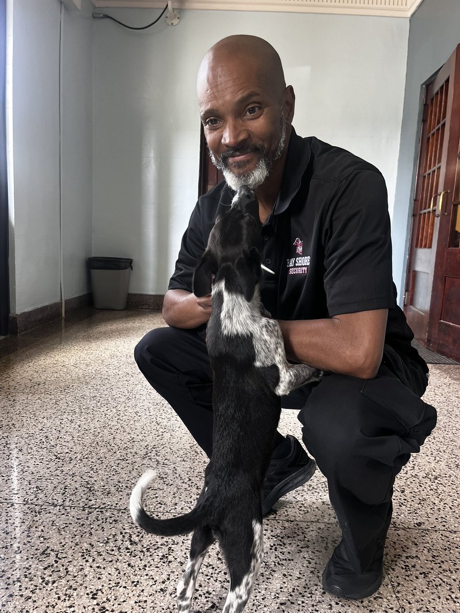 For the second time, the @5thaveschool staff participated in a “Puppy Love” program throughout the day. The faculty helped socialize some puppies to become therapy dogs in the future.  Smiles and fun times for all who participated! @bayshoreschools #It’sAShoreThing