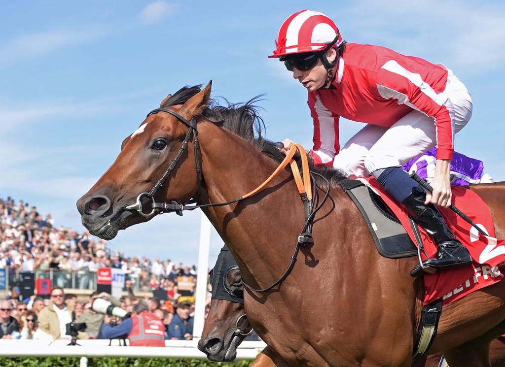 🏆NEW BAY sires 3️⃣ Stakes Horses in 24 hours!

🥇Carla Ridge wins the Listed Bridget's Pastures Stakes (6f) by 10 lengths

🥈Bay City Roller runs second in the Gr.2 Prix Dollar (10f)

🥈Summer Sail finishes second in the Listed Prix Matchem (7f)