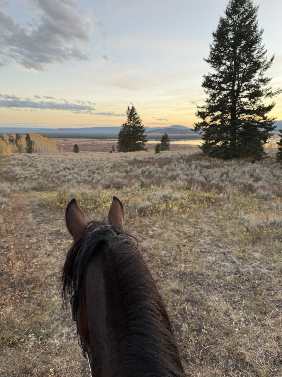 Vielleicht wurde hier gerade beim Abschied von der Ranch ein bisschen geheult. Vielleicht war ich auch nicht die Einzige. 
Naja… man soll gehen wenn’s am Schönsten ist….