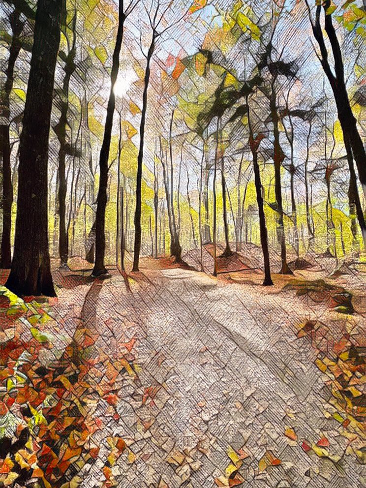 fitnesslab's tweet photo. Fall Rhapsody @NCC_GatPark https://t.co/qD1b4cBgoG