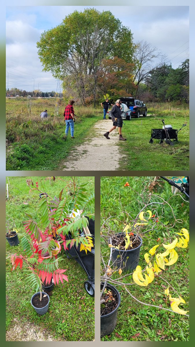 Awasisak Mēskanôw Greenway tweet media