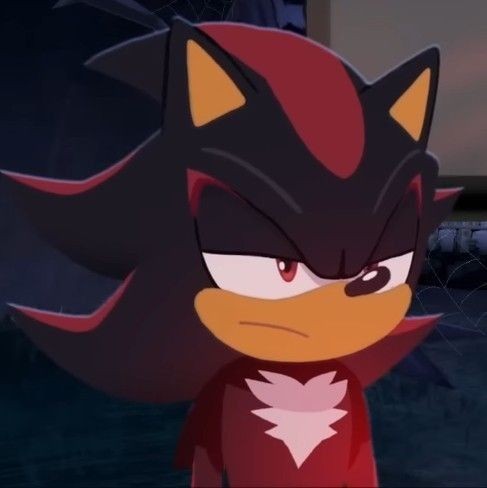  𝗦𝗛𝗔𝗗𝗢𝗪。ᴾᵃˢᵗ ᴬᵁ tweet media