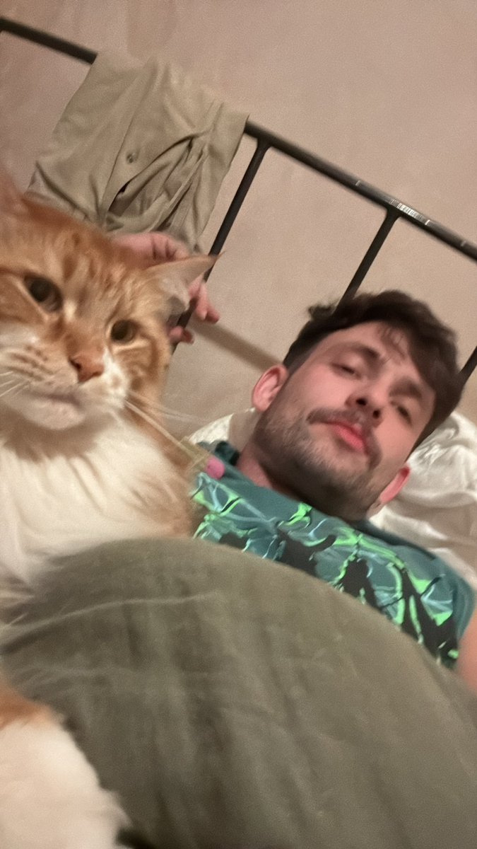 See I like this cat (Marvin) alot because he’s actually giving joyous kunt everlasting and his cuddles hit. He is...  The effervescent puss. Nothing about him is shady, condescending,  or forced. He is a Big Purr