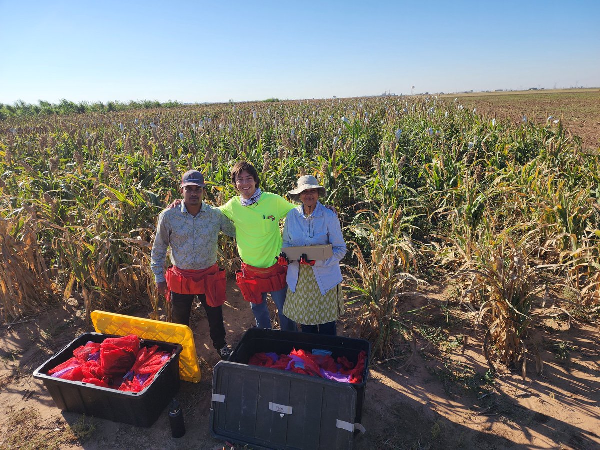 Saini DK tweet media