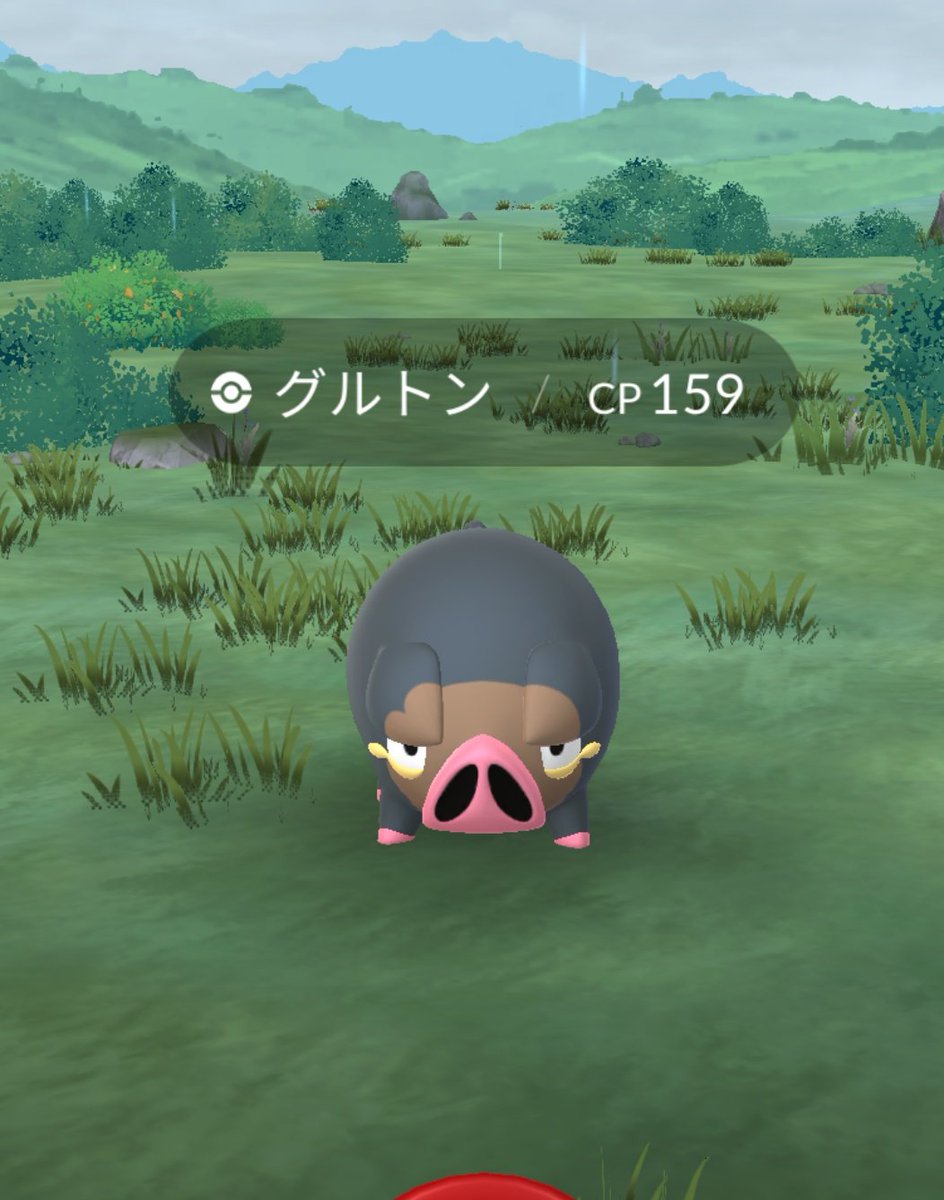 yasurongolf's tweet photo. #PokemonGO
メガ進化しますか？ https://t.co/YaZfl2mSMV
