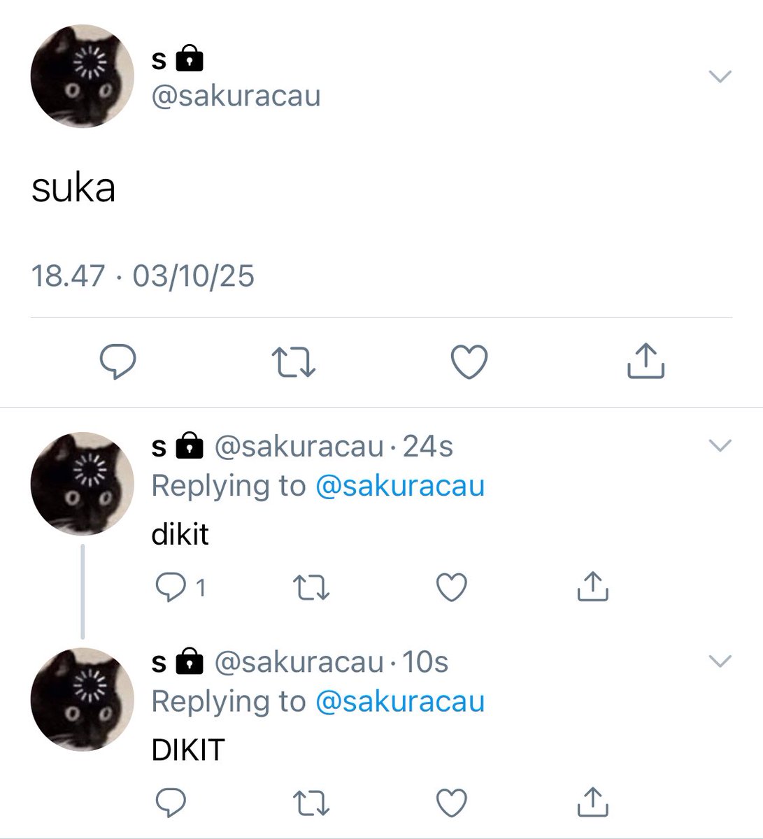 sha tweet media