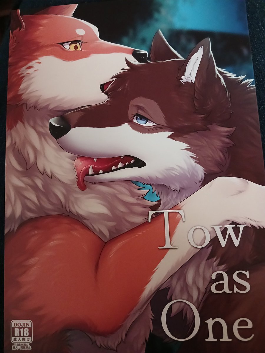 New and awesome acquisition!
A Diga doujin!