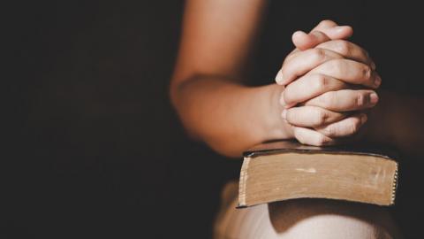 hablarconjesus_'s tweet image. Haz que sepa escucharte, Señor
Hazme saber la misión especial a la que me llamas. Amén. 

#Oración, #OraciónDeLaMañana, #Devoción, #Diálogo, #Súplica, #Petición, #HablarConJesús