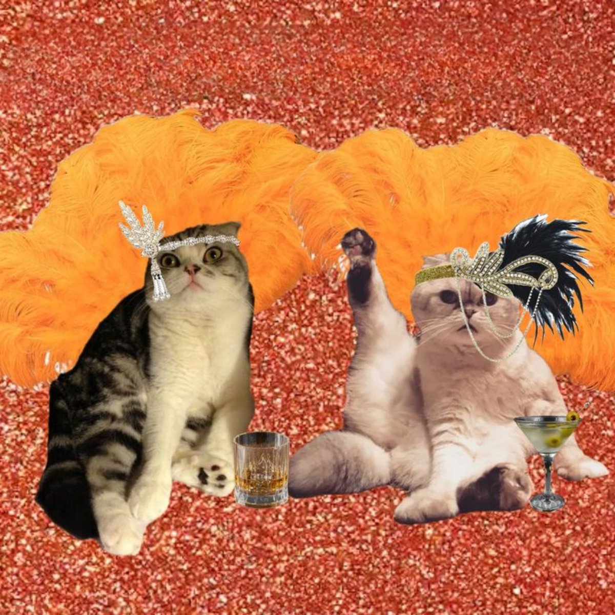 Live look at admin watching tonight's match