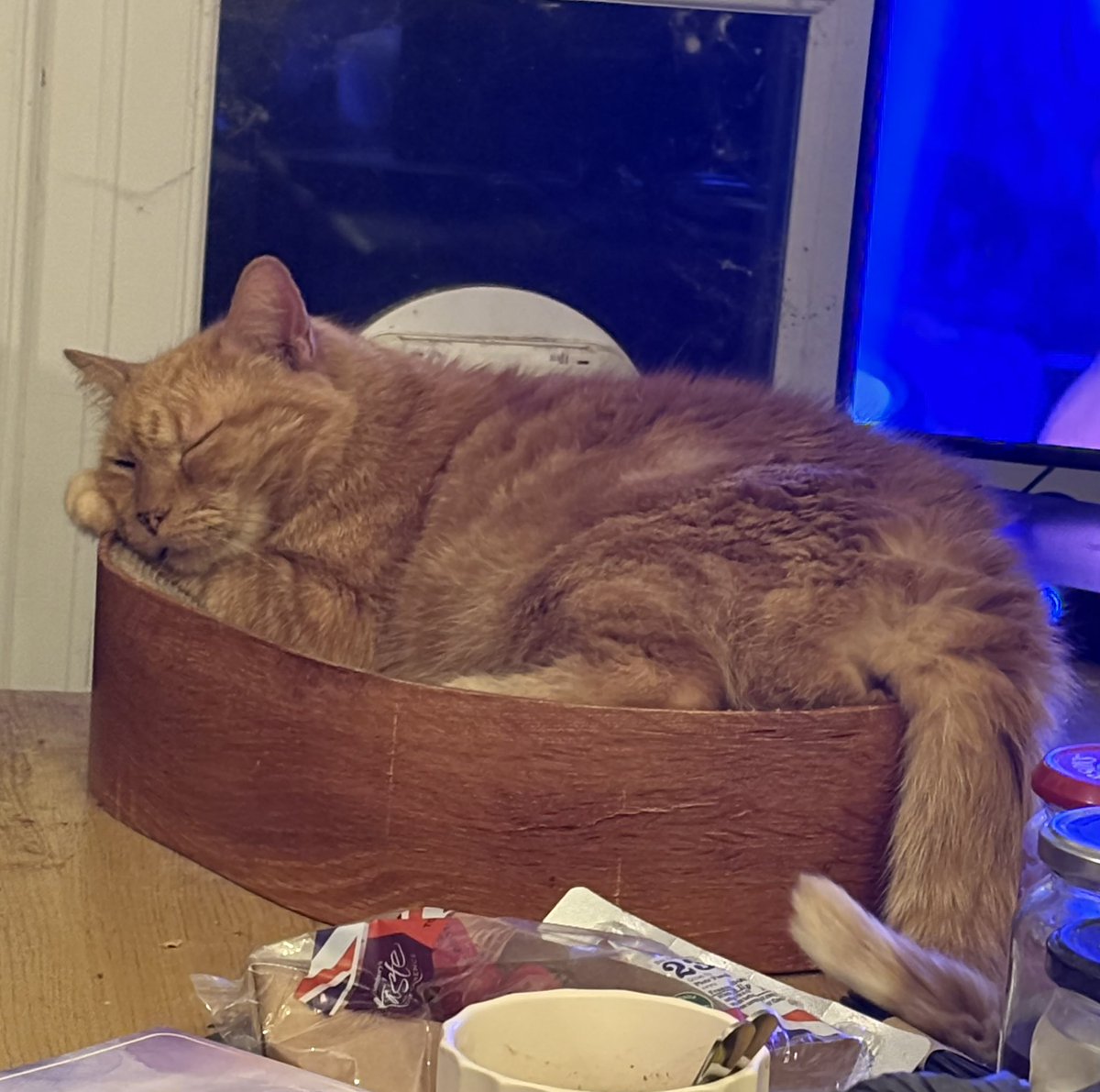 Clarer1969's tweet photo. @EscapedHere He’s doing well. Exploring outside now but never for too long, he’s got it too good at home ❤️ https://t.co/VwWqVlxqnB