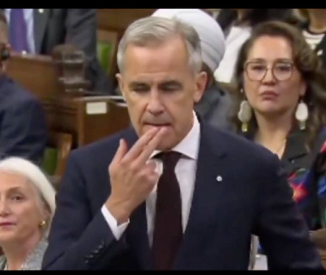 Concern70732755's tweet image. Brookfield is becoming integrated with the Carney Govt through government contracts or appointees ! 

Does anyone else see this ??