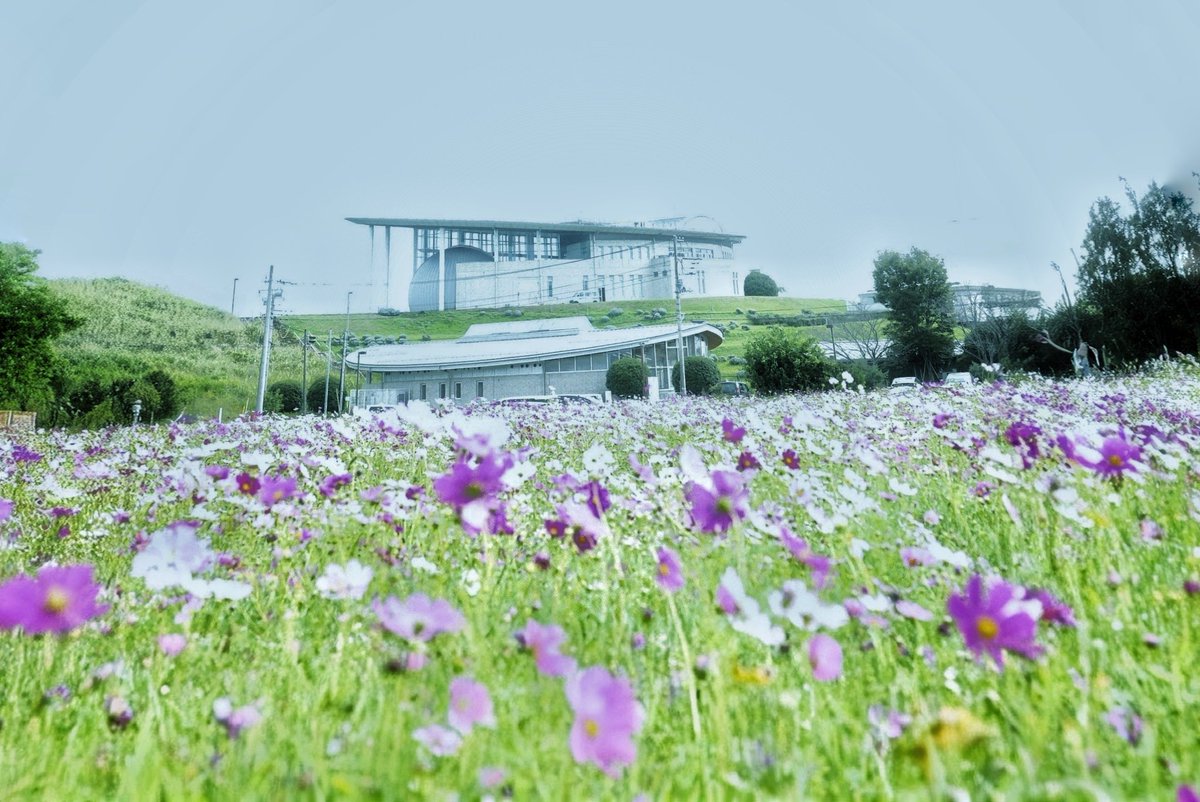 _ASUKA_2020's tweet image. あいにくの曇り空。コスモス畑よりも、あの建物が気になる…
「加須市未来館」