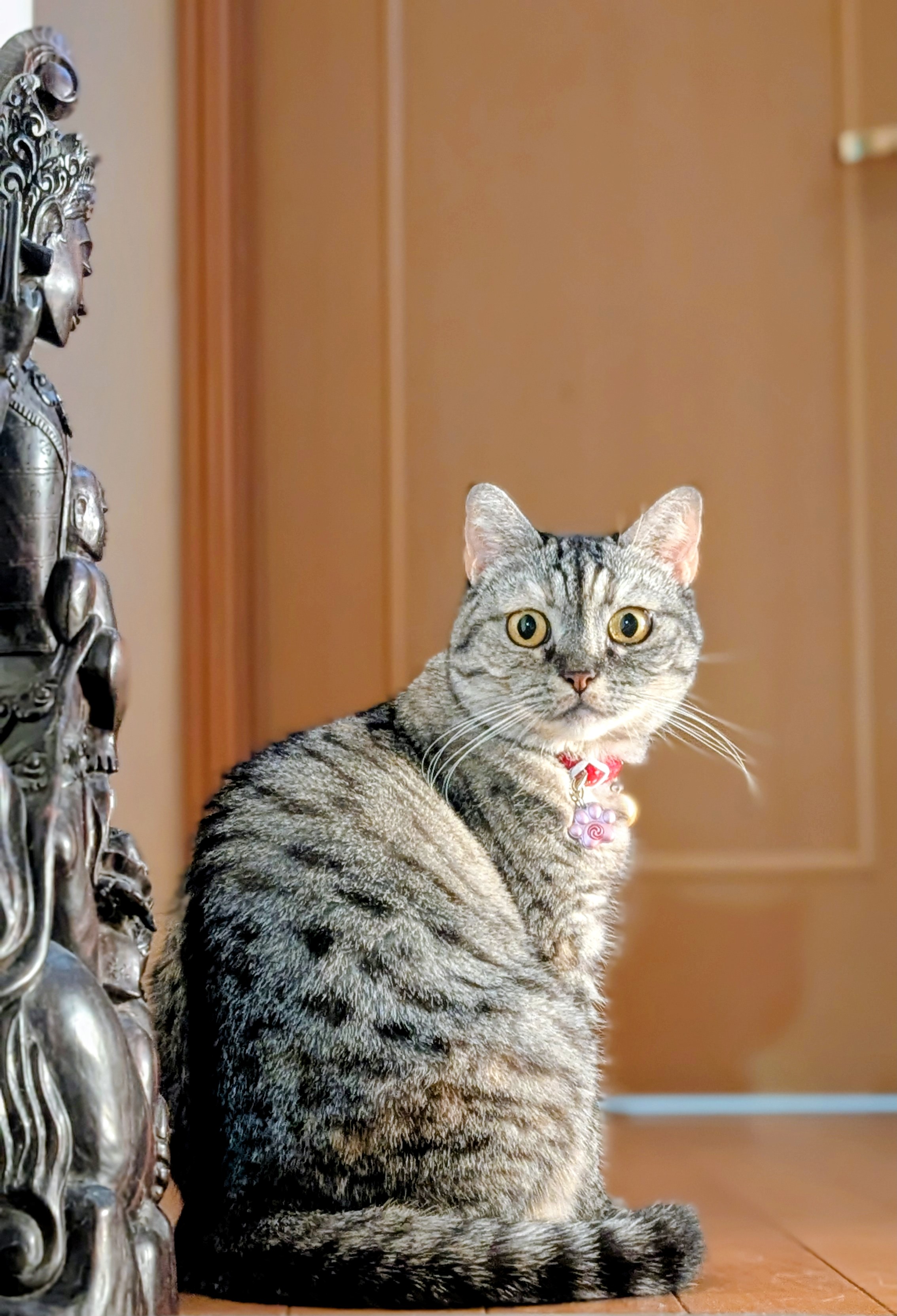 猫さん ♡CHIZURU♡ (@bianca.jps) • Instagram photos and videos