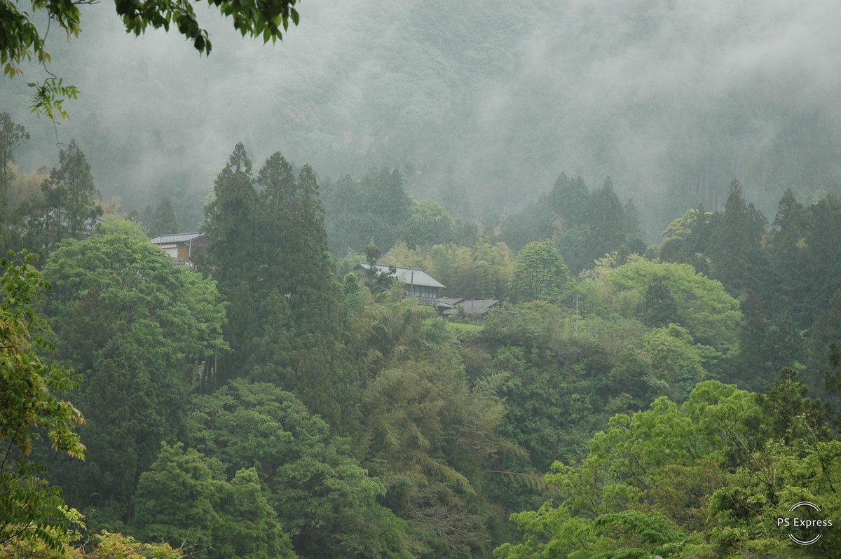softypapa's tweet photo. #MorningFog just hits a little different in the seasonably warm and temperate mountain villages of Shizuoka’s Japan Southern Alps. 🌫️⛰️
Join @EAMahon’s #GaijinTwitter community activity and share your daily themed posts with the hashtag #Octoberly 🎃 Today’s prompt: #MorningFog
For the full list of this month’s prompts, check the pinned post at the top of the GaijinTwitter community:
👉 https://t.co/P6Gfoyi2YN… ✨