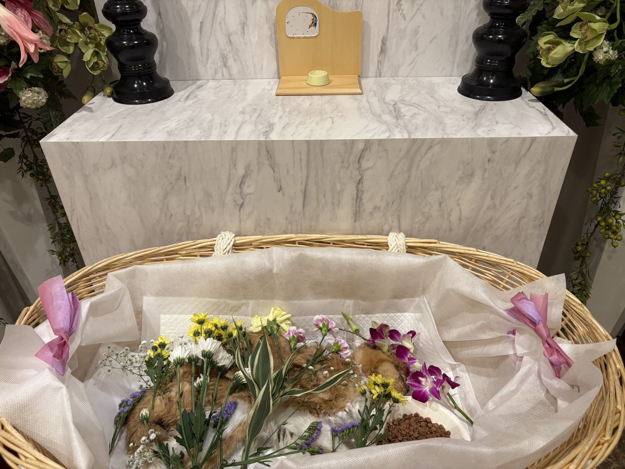 アミーゴさん専用（╹◡╹）♡ steranian (@steranian) / X