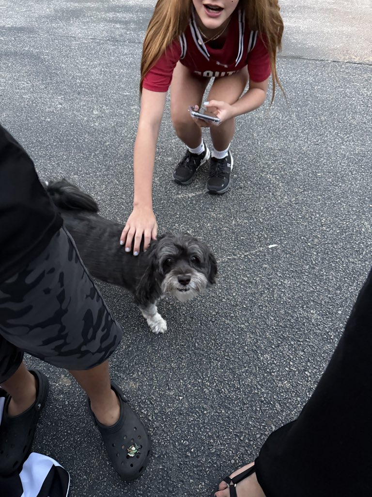 ChampStaley tweet media