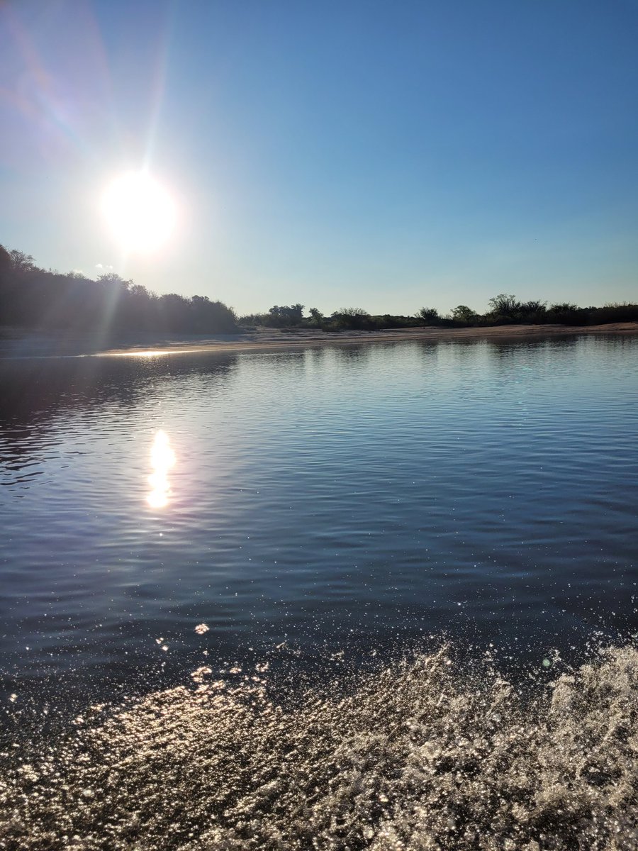 Pobres de aquellos que no dispensan un pedacito de la vida al goce de la naturaleza ¡ vamos!