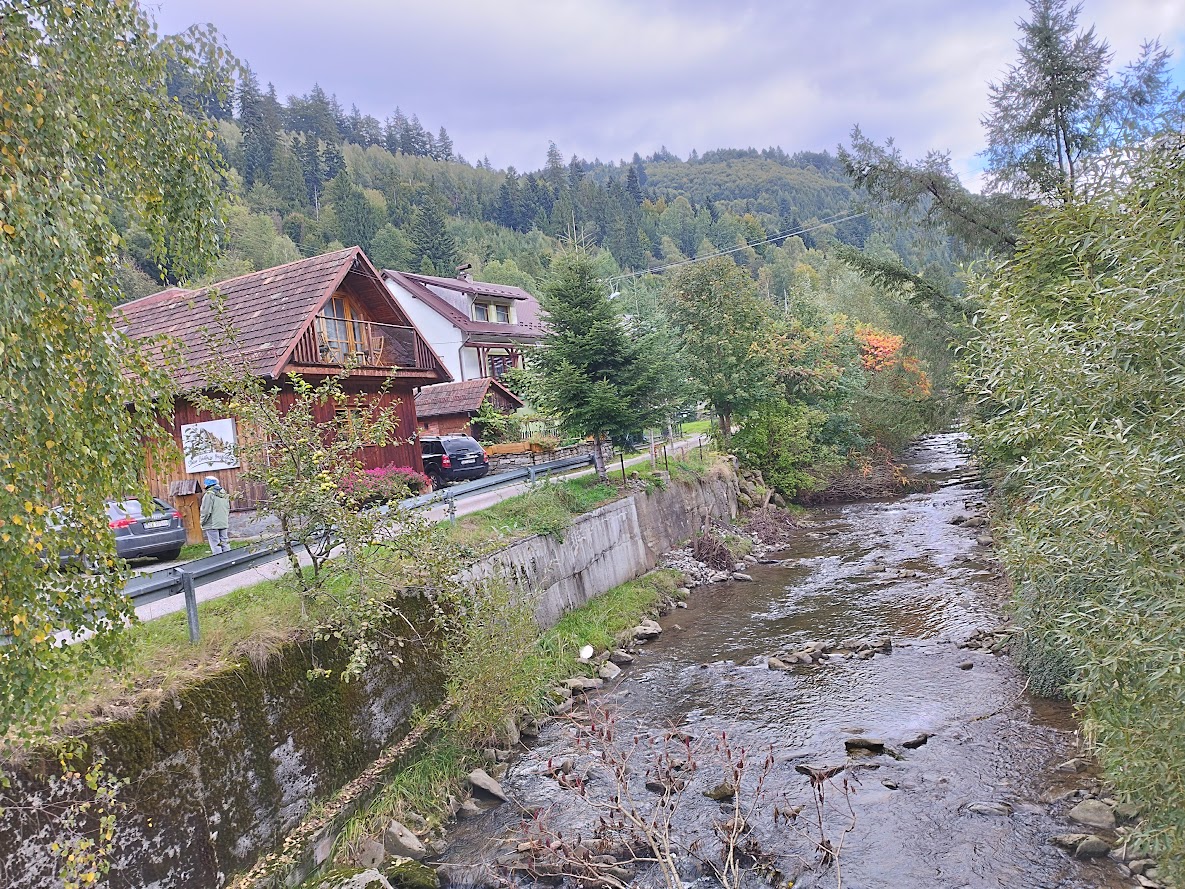 Powoli, powoli nadchodzi jesień... Za 8 miesięcy będzie wiosna. W tym roku wiosna u nas przyszła po 15 czerwca. Planeta nie płonie pomimo alarmujących zapowiedzi, wręcz odwrotnie jest coraz zimniej. Nie ma zimy,ale wiosny są najzimniejsze w historii człowieka, tuż przed