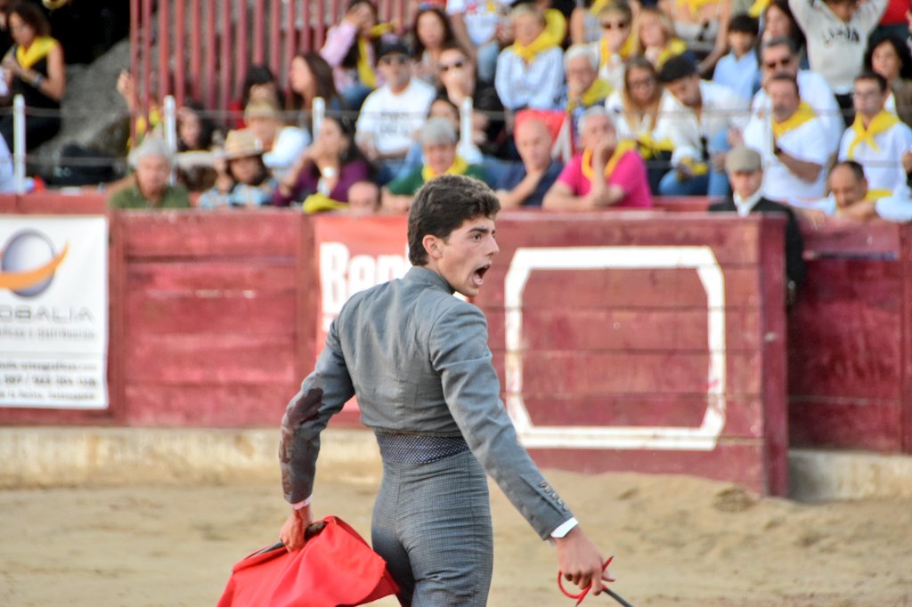 Toros Ledesma tweet media