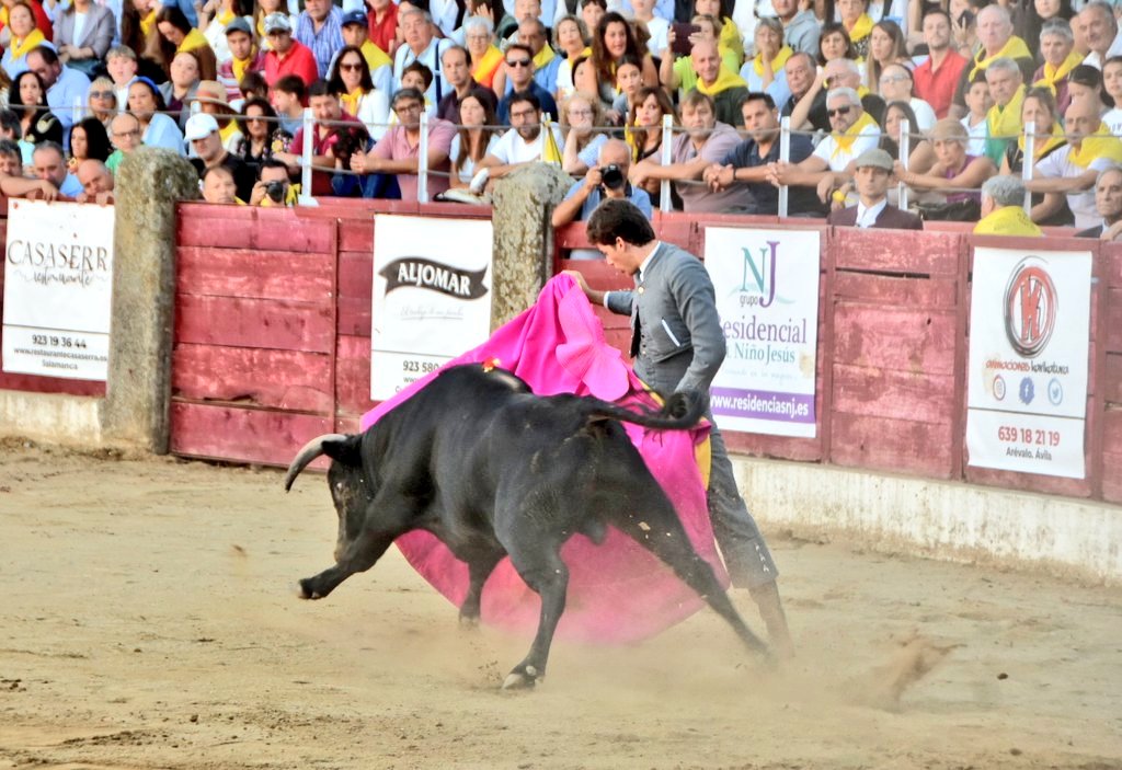 Toros Ledesma tweet media