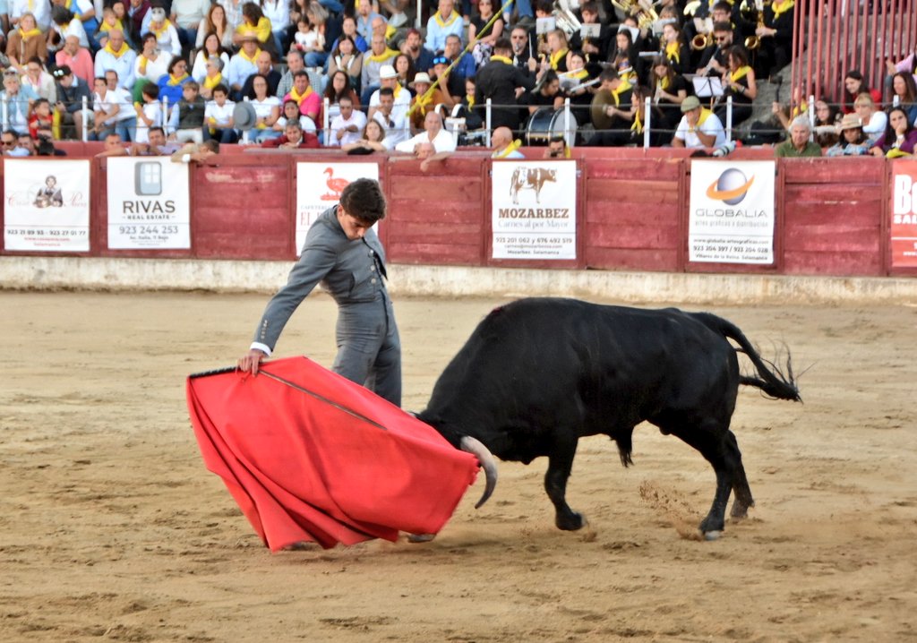 Toros Ledesma tweet media